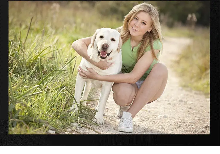 Factory Wholesale dog pet food ham sausage pet snacks natural pet treats sausage for dog cat ready to eat sausage