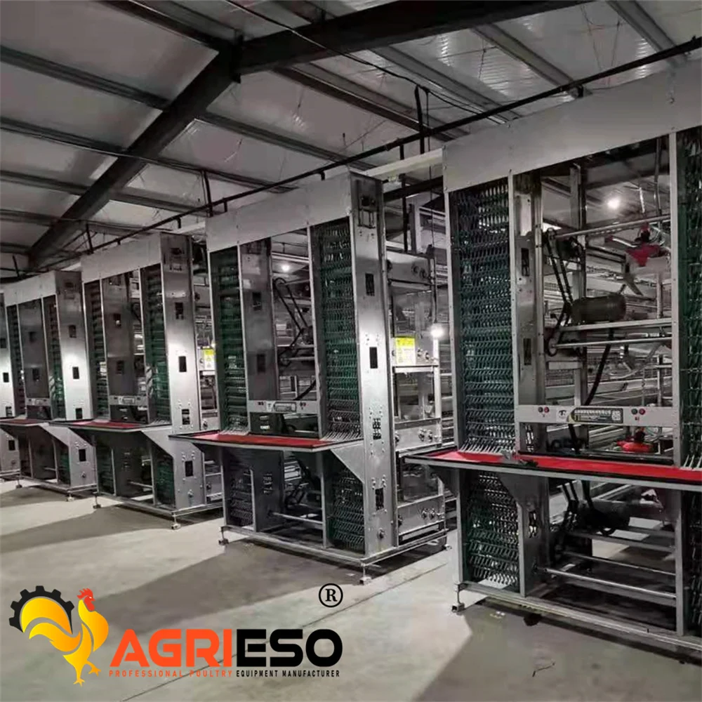 Agrieso Chicken Laying Battery Cages Hot Dip Galvanised 3/4 Tiers Chicken h Type Layer Cage Manure Egg Collection System