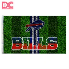 Buffalo Bills 10.jpg