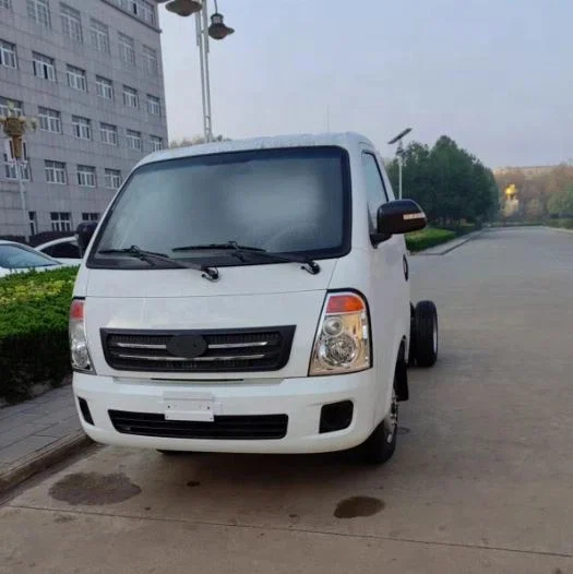 Mini Truck Mounted Crane with Light Truck for OEM