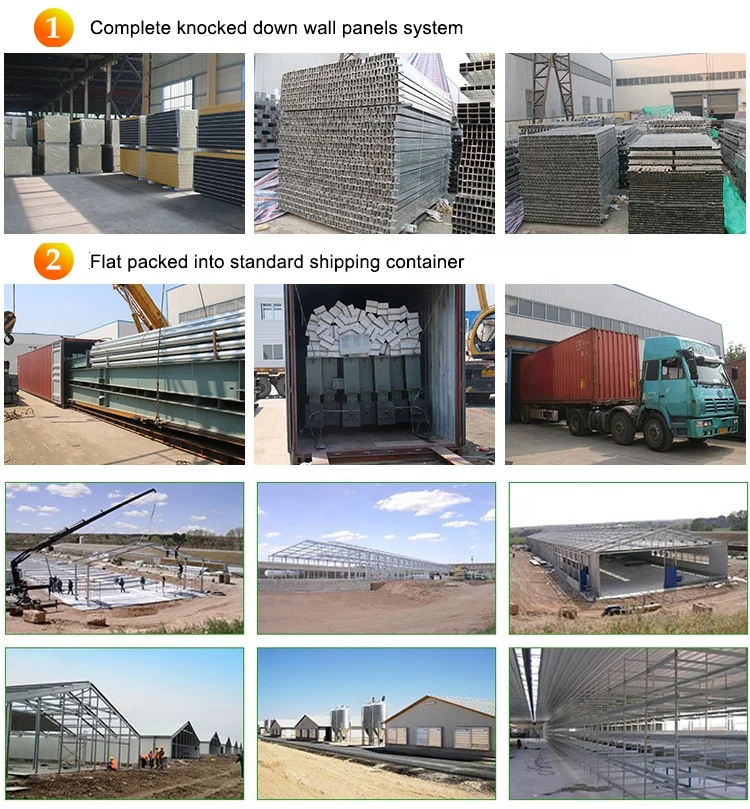 Fabric cover structure modern prefabricated steel structure building mechanized poultry farming