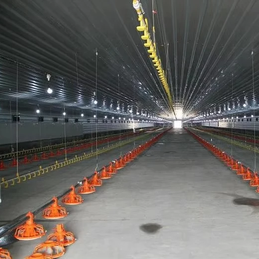 Prefab Steel Structure Space Frame Poultry Shed Chicken Shed Layer Farm Building Auto Cage System For Sale