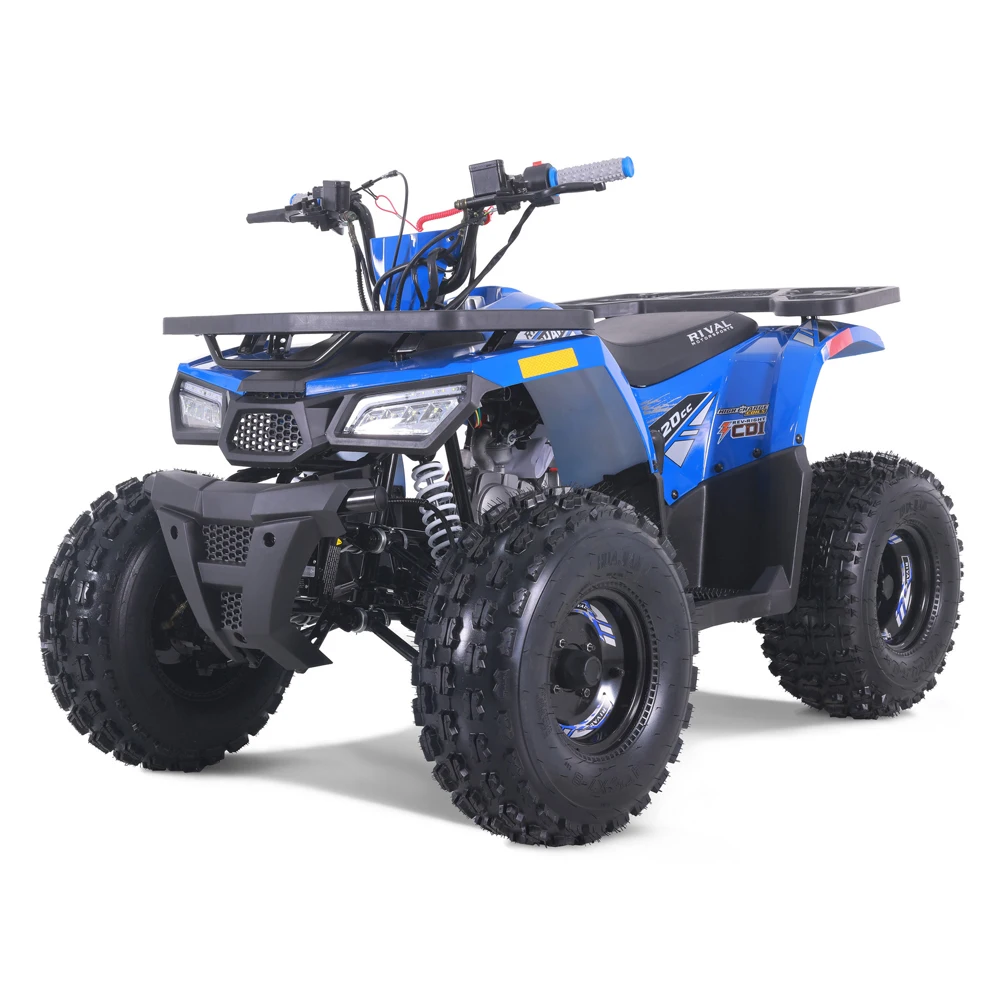 Новинка 2024 мотора Tao недорогая ферма ATV автоматическая цепь для детей 110cc