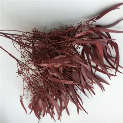 Amazon hot sell home decoration wholesale everlasting eucalyptus leaves preserved eucalyptus saligna seed