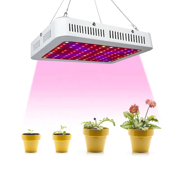 
Grape best led grow lights 2020 300w 600w 1000w full spectrum dimmable hps cob samsung lm301b cob uv ir for plants indoor 