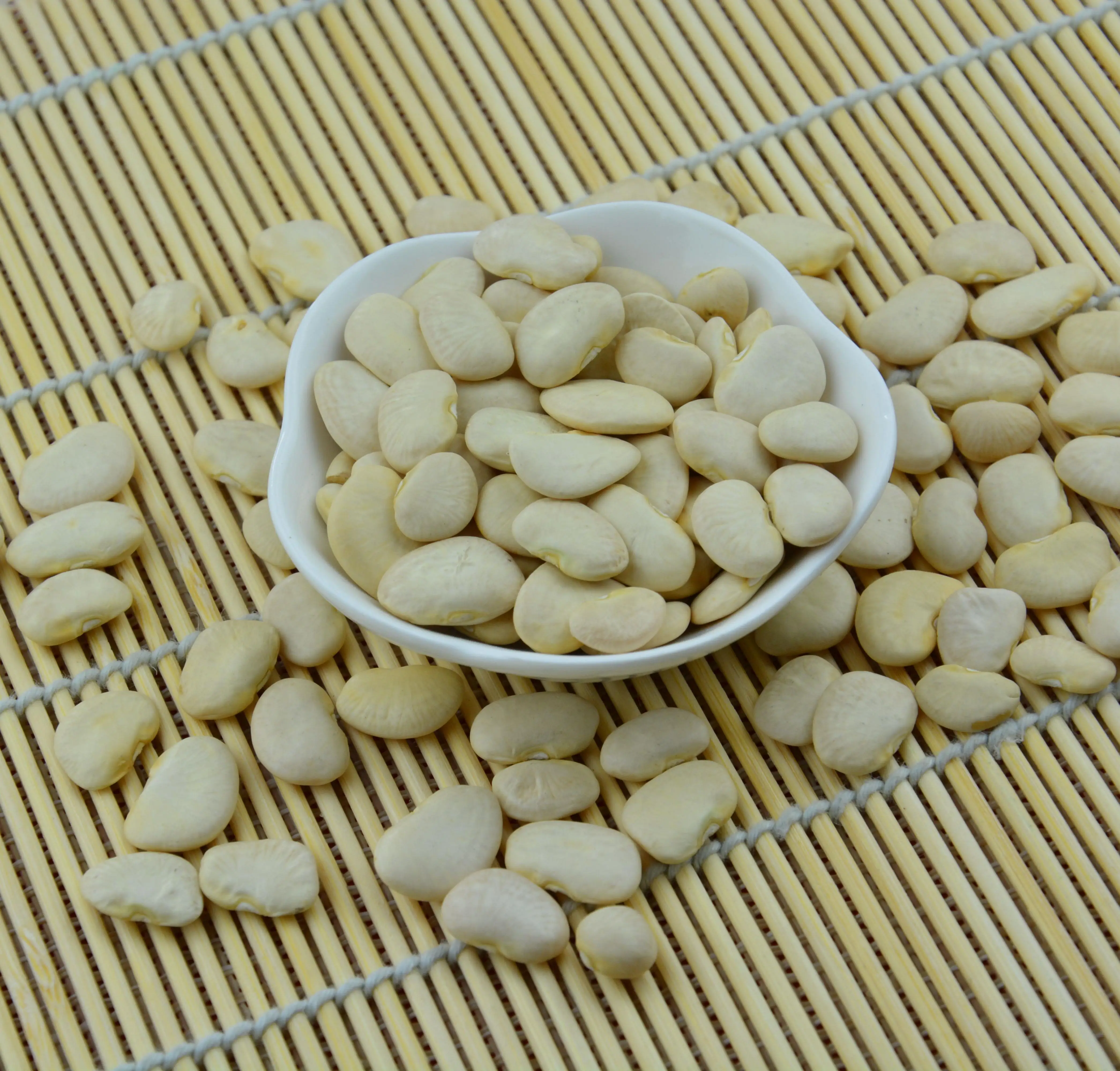 Non-Gmo Navy bean Small White Kidney Beans Organic Protein