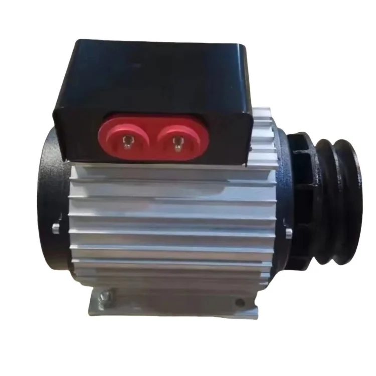 Efficient Double Bearing Brushless Synchronous Single Phase Dynamo Alternator Generator