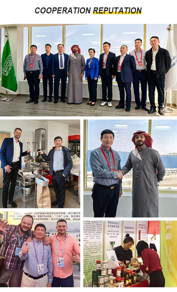 New peanut oil refining machine sunflower oil double refined machine palm oil refining machine for sale