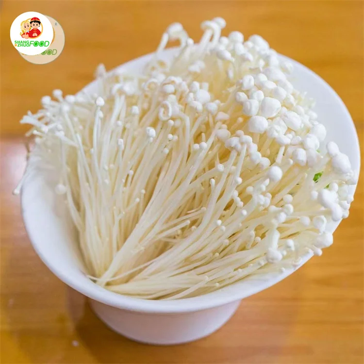 Newest enoki-mushroom-price golden needle enoki mushroom with Competitive price