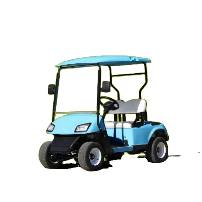 Factory Price For Sale 2 Seats Utility Buggy Golf Car Electric Golf Cart Buggy