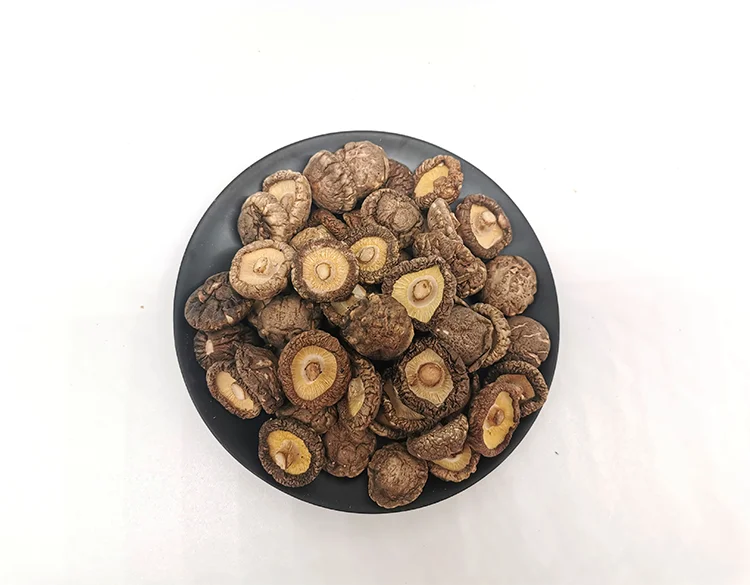 Wholesale  healthy dried shitake mushroom 3mm