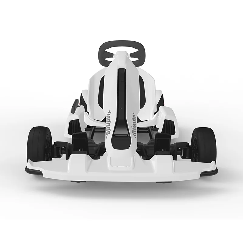 Ninebot Go Karts Electric Go Karts Racing Go Karts For Adults With Lithium Battery 60V 310WH 700W Steel Frame For Sale