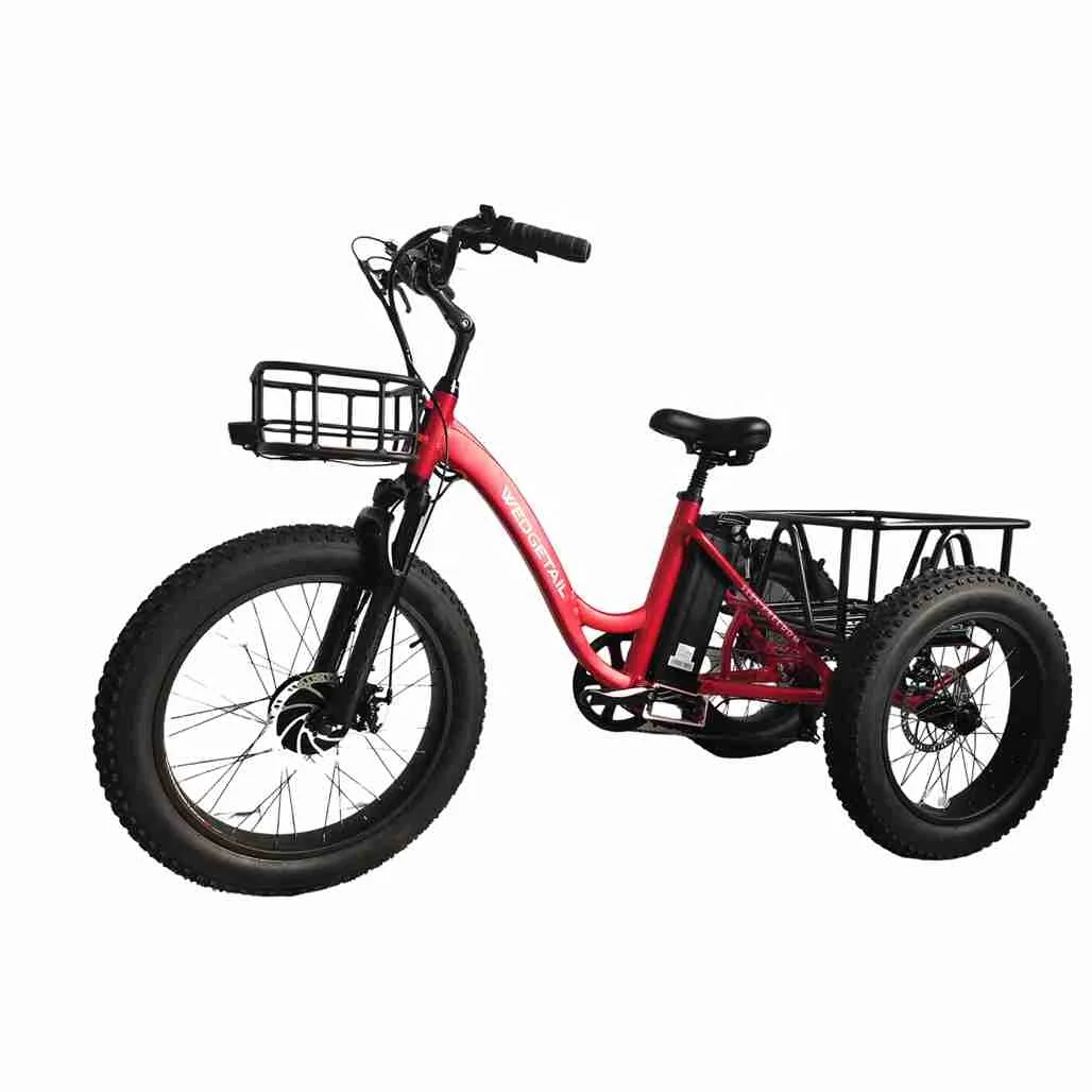 Chinese Supply Electric Transmission 48V 1000W Motor Tricycle Electric Tricycles 3 Wheel Electric Cargo Bike Tricycle Taxi Moto