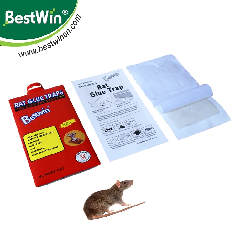 2021 new professional pest control factory strong viscous mouse glue trap