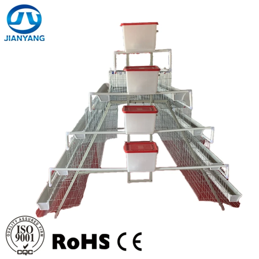Layer Cages Egg Chicken Poultry Farm 160 Birds H Type Chicken Cages Egg Layer