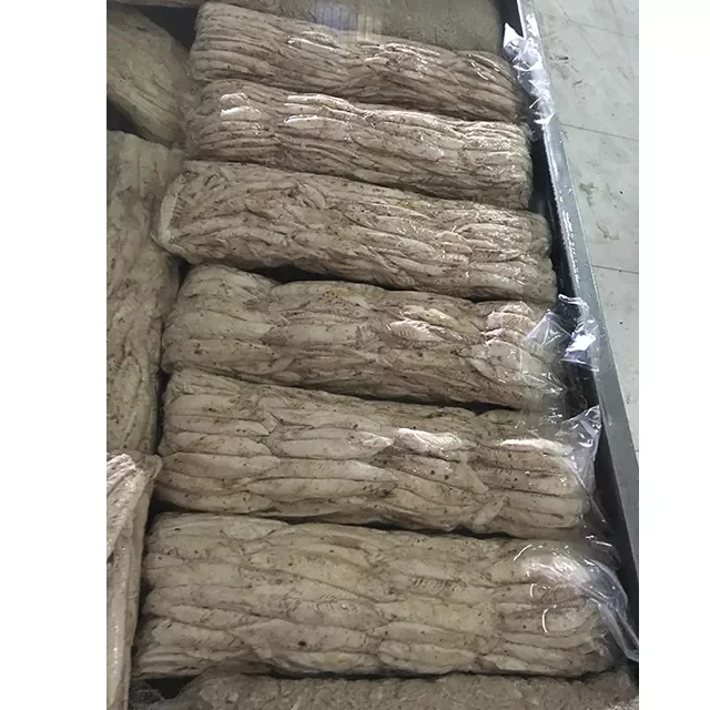 5kgs BQF Factory Frozen Tuna Fish Fresh Bonito Loin