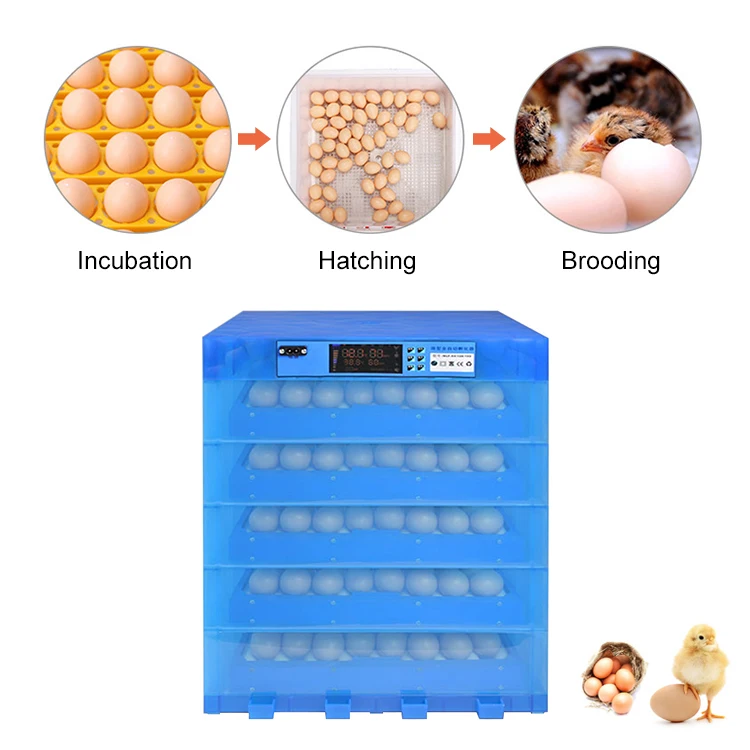 Best Quality Widely Applicable Small Capacity DC Hatching Automatic Eggs Incubator