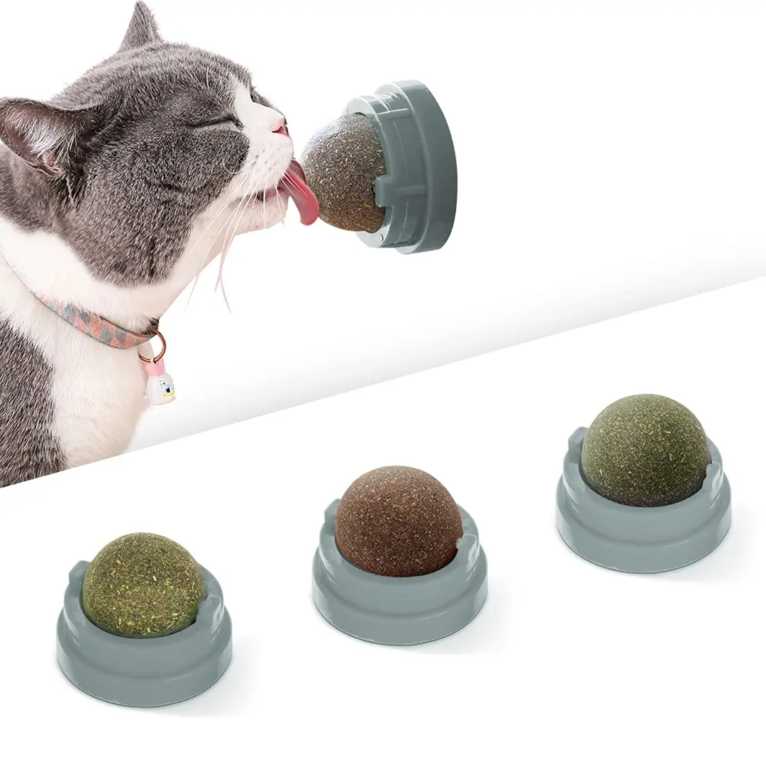 Contain catnip snack lollipop cat toys interactive ball catnip sucker wall ball cat toy with catnip mint
