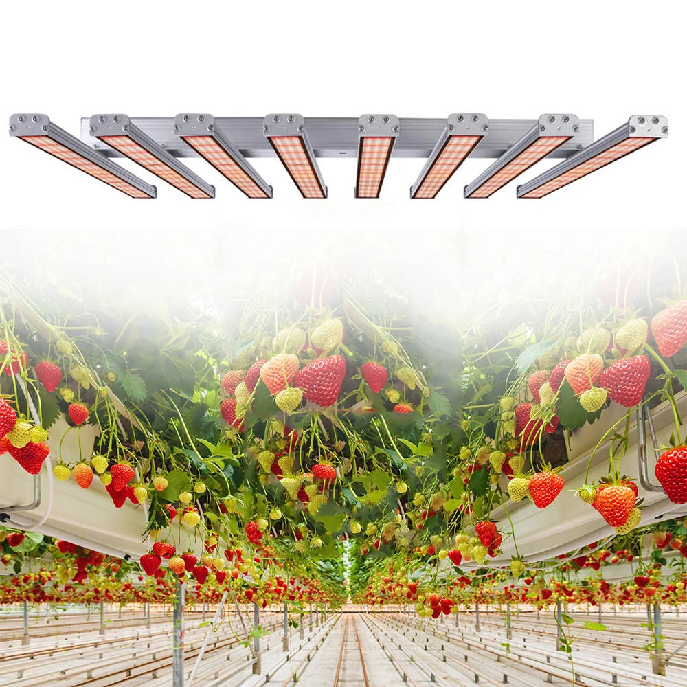 Wholesale Manufacturer Full Spectrum Led Light Bulbs Waterproof 800 watt 8 bar led grow light Growing Kit