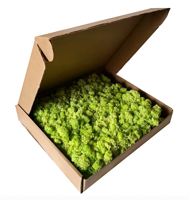 Christmas Wall Decor Preserved Stabilized Reindeer Moss Panel real natural moss wall panel