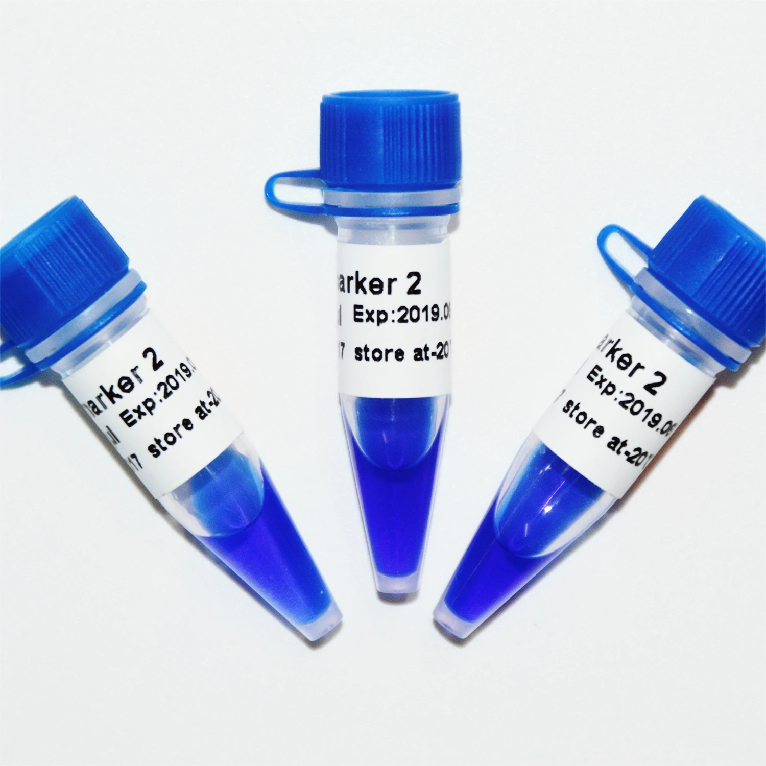 GDSBIO Marker 2, DNA ladder, OEM, 100bp to 1200 bp M1091/M1092