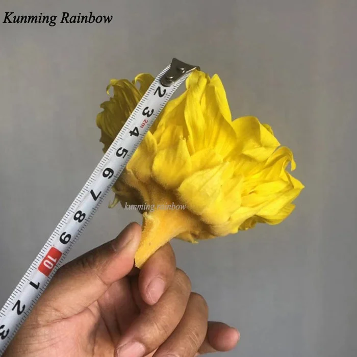 natural eternal sun flowers preserved sunflower for decoration