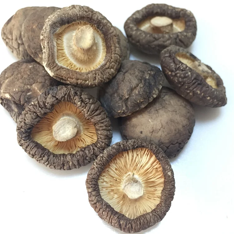 2019 Best Selling Bulk Mushrooms White Or Brown Dried Shiitake Mushroom