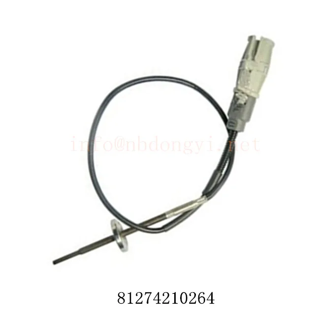 Intake Air Temperature Sensor 81274210264
