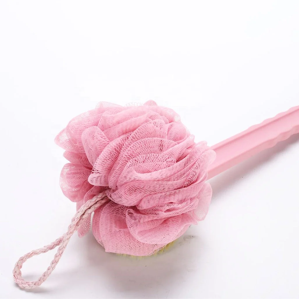 Shower body brush with bristles and loofah scrub brush