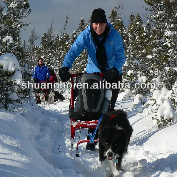 2024 Winter Dog Mushing Snow Sled for Kids Adults