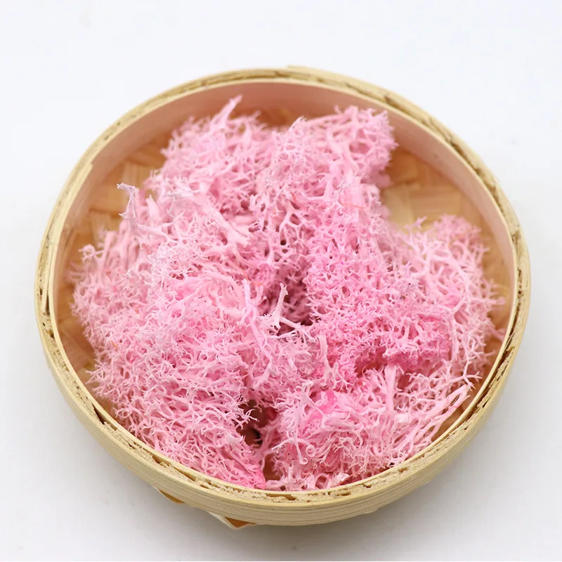 10g/bag wholesale indoor natural green decorative lichen DIY materials moss wall preserved moss