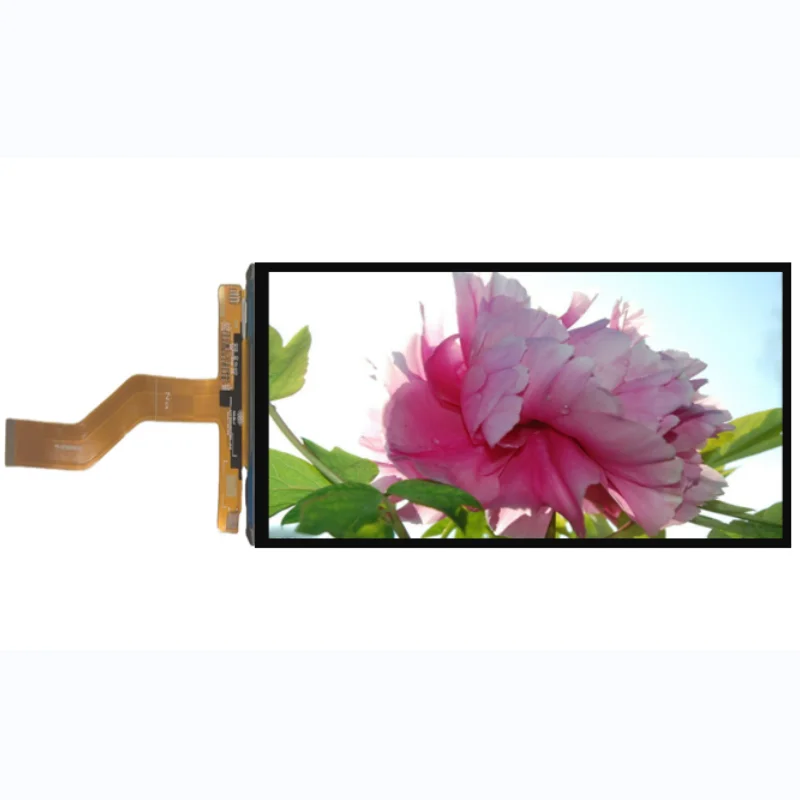 For iPhone 12/P40/Sony Cell Phone Mobile 6.1'LCD Module Replacement Touch Screen 6.1 inch TFT LCD Display Module MIPI 720*1560