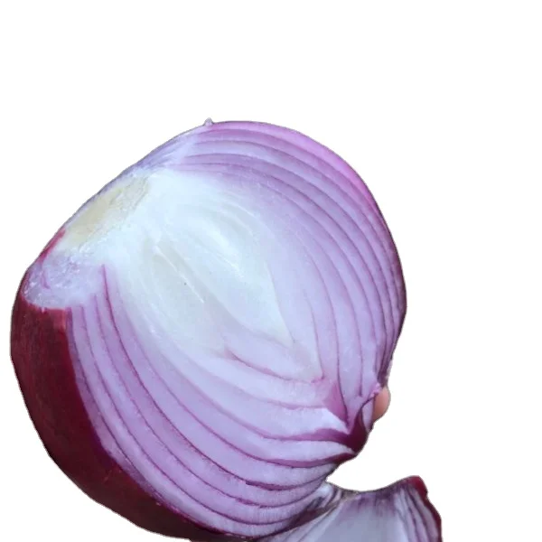 
Best Price Chinese Export New Natrual Fresh Purple Red Onion for Sale 