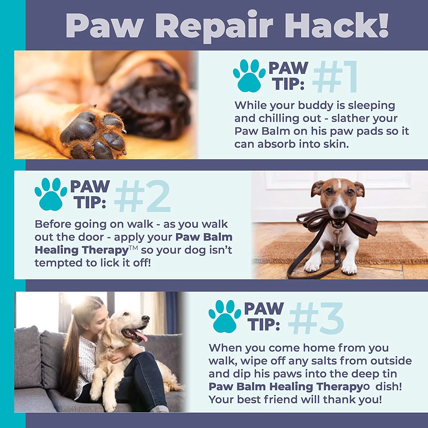 Private label organic Pet Natural Dog Paw Balm Protection Wax Relief for Raw Dry or Rough Paws