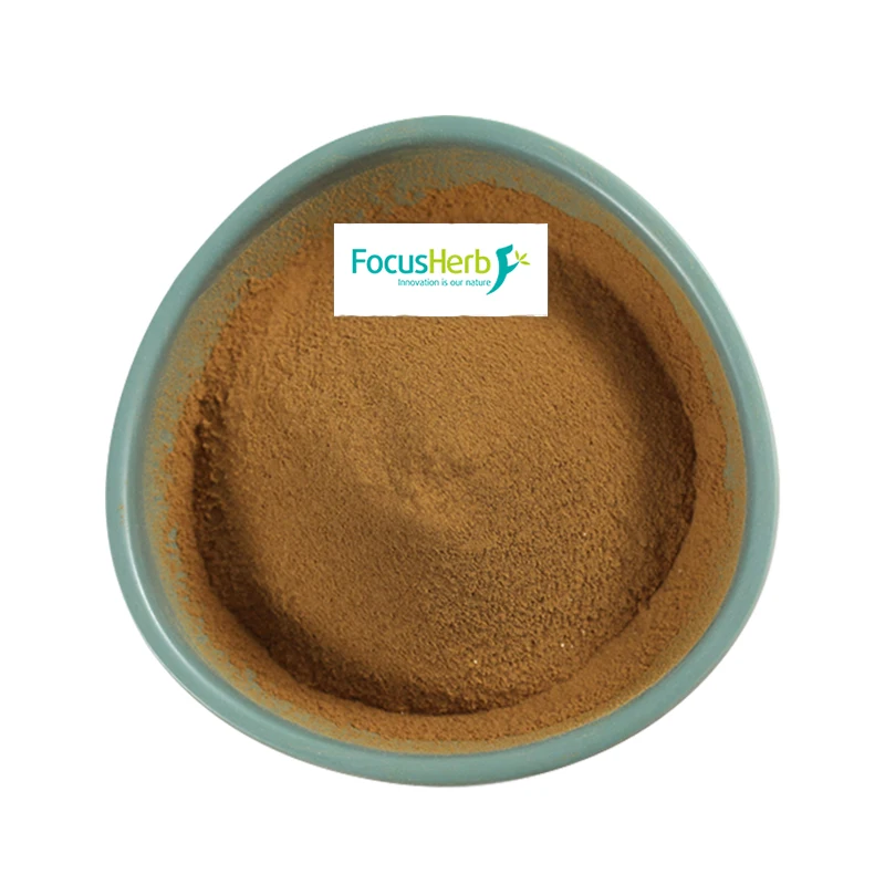 
FocusHerb Astragalus Root Extract 30% Polysaccharide 