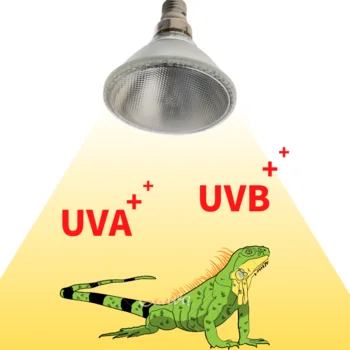 1 Reptile Lamps UVB+UVA Pet heat lamp 35/50/70W 5500K Metal Halide Health Care Lamp