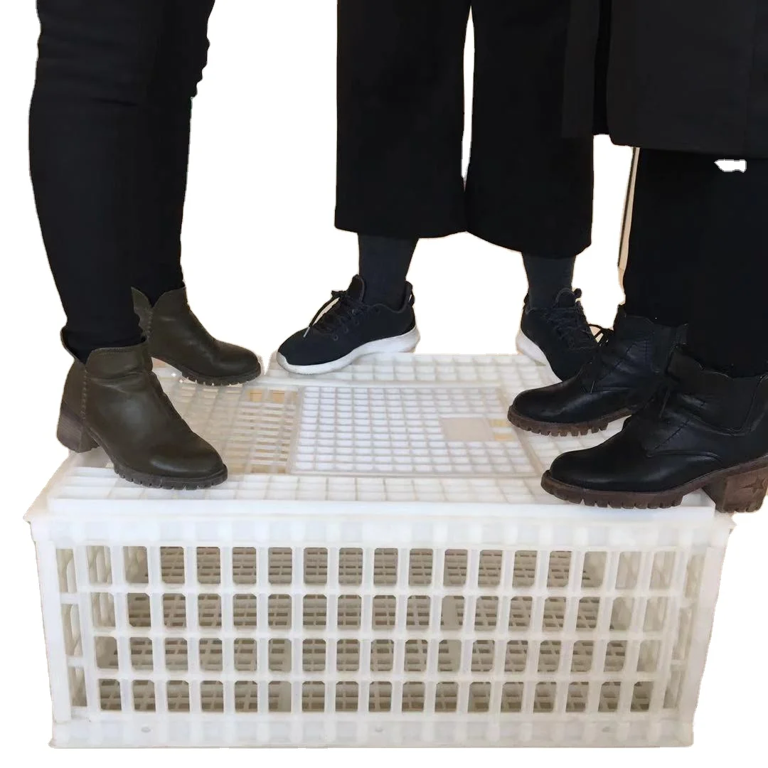 plastic transport bird cages for live chicken transport cages poultry transport crate