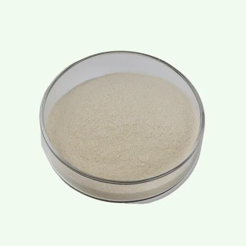 High quality Food grade maltogenic amylase enzyme for baking powder additive