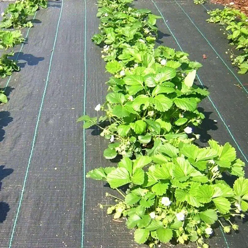 Барьер для сорняков, коврик для сорняков для клубники, органического сада, фермы, ткань для защиты от сорняков
