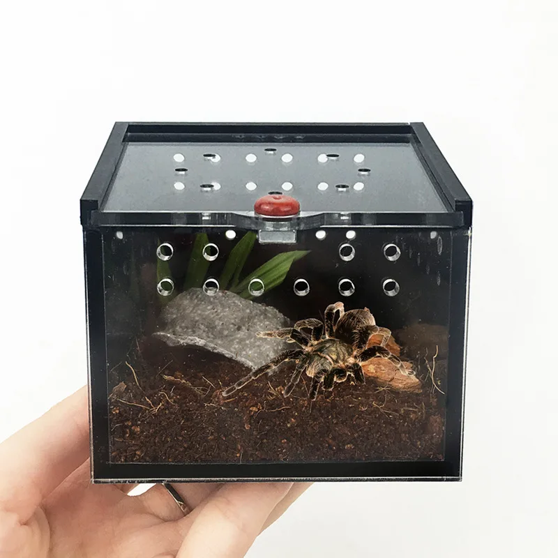Reptile Terrarium Pet Carrier Lizard Acrylic Reptile Box Spider Box Reptile Crawling Pet Feeding Gecko Lizard Silkworm