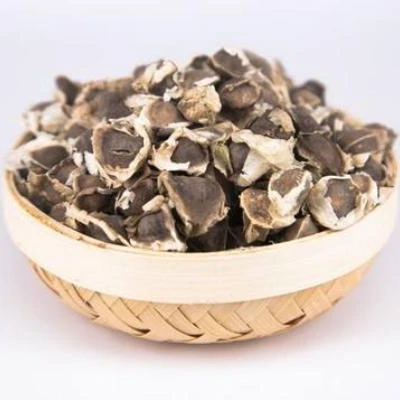 Wholesale Best Selling Pure Natural Moringa Seed Extract