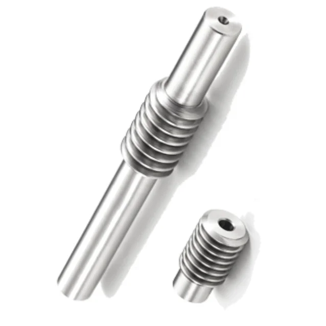 Customize Products 304 Stainless Steel Worm Shaft for Speed Reducers
