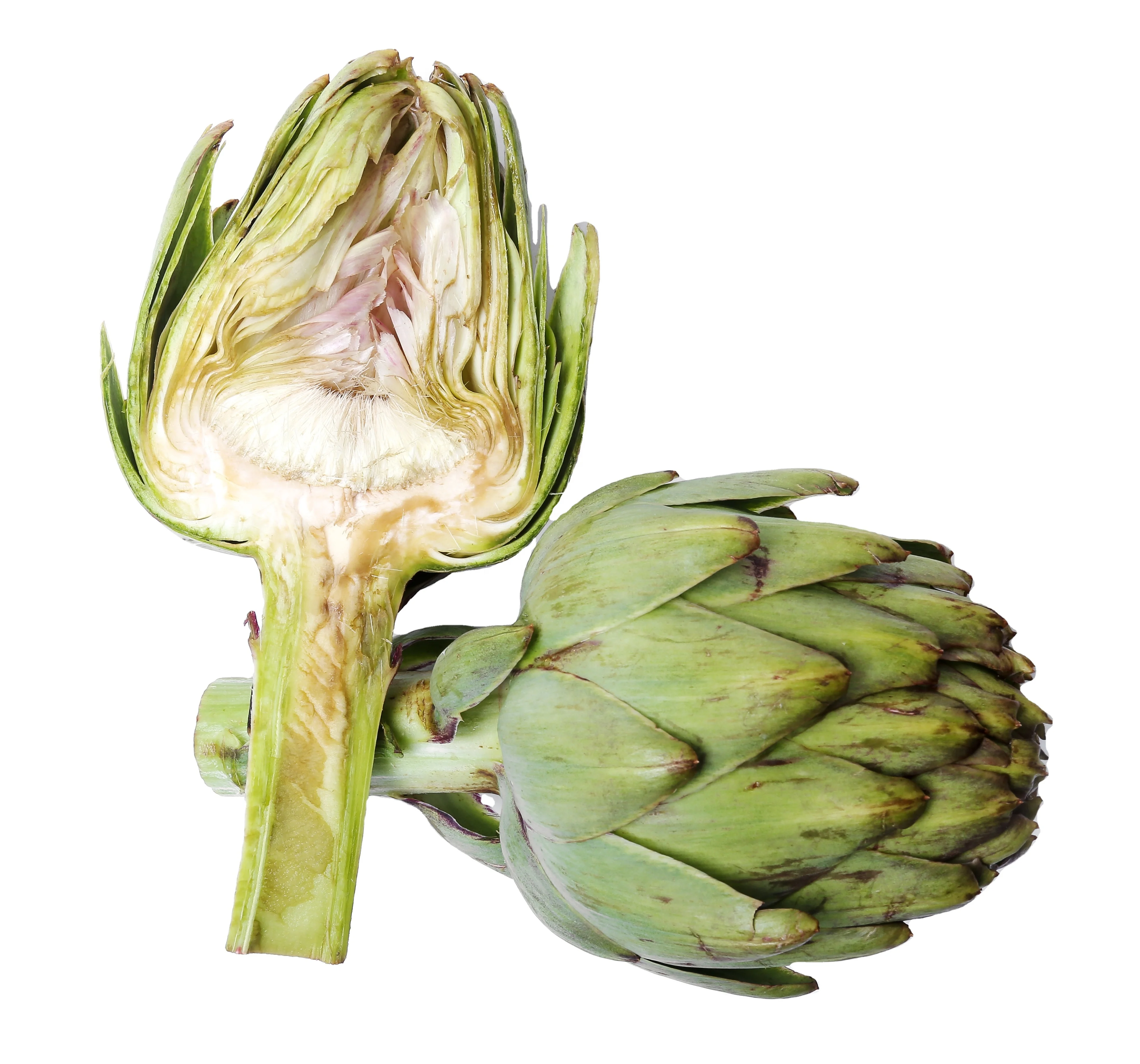 Canned Artichokes