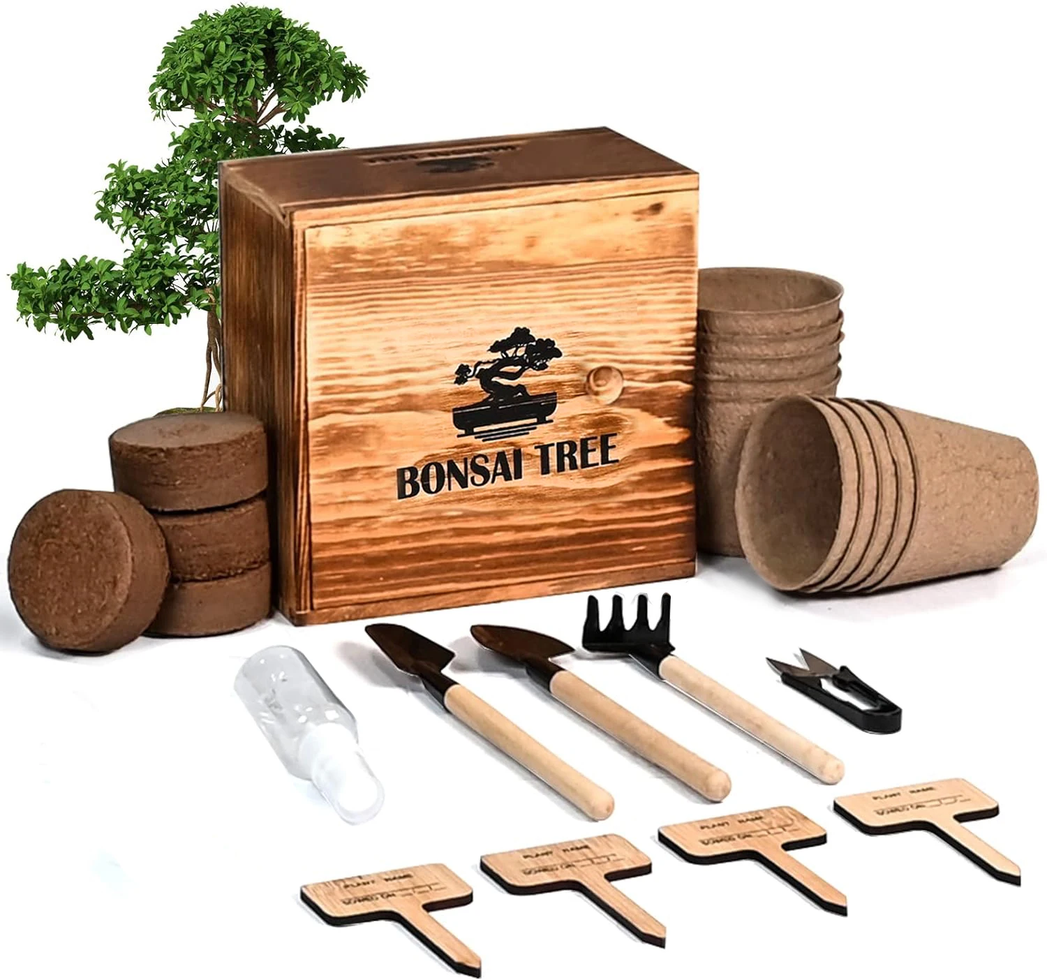 Gardening Gifts Bonsai Tree With Garden Bonsai Tools Mini Planting Kit Indoor Bonsai Tree Starter Kit