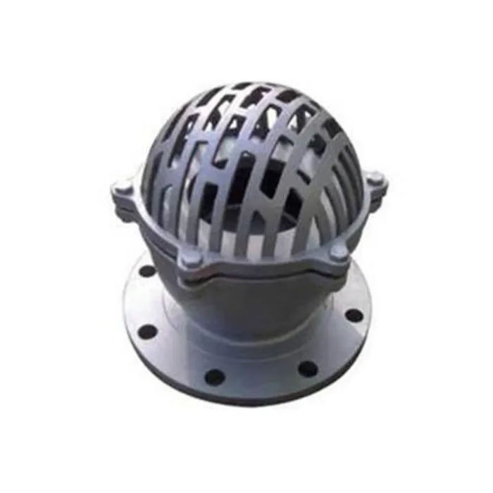 PN10 PN16 Cast Iron DN50 DN80 DN100 Foot Valve