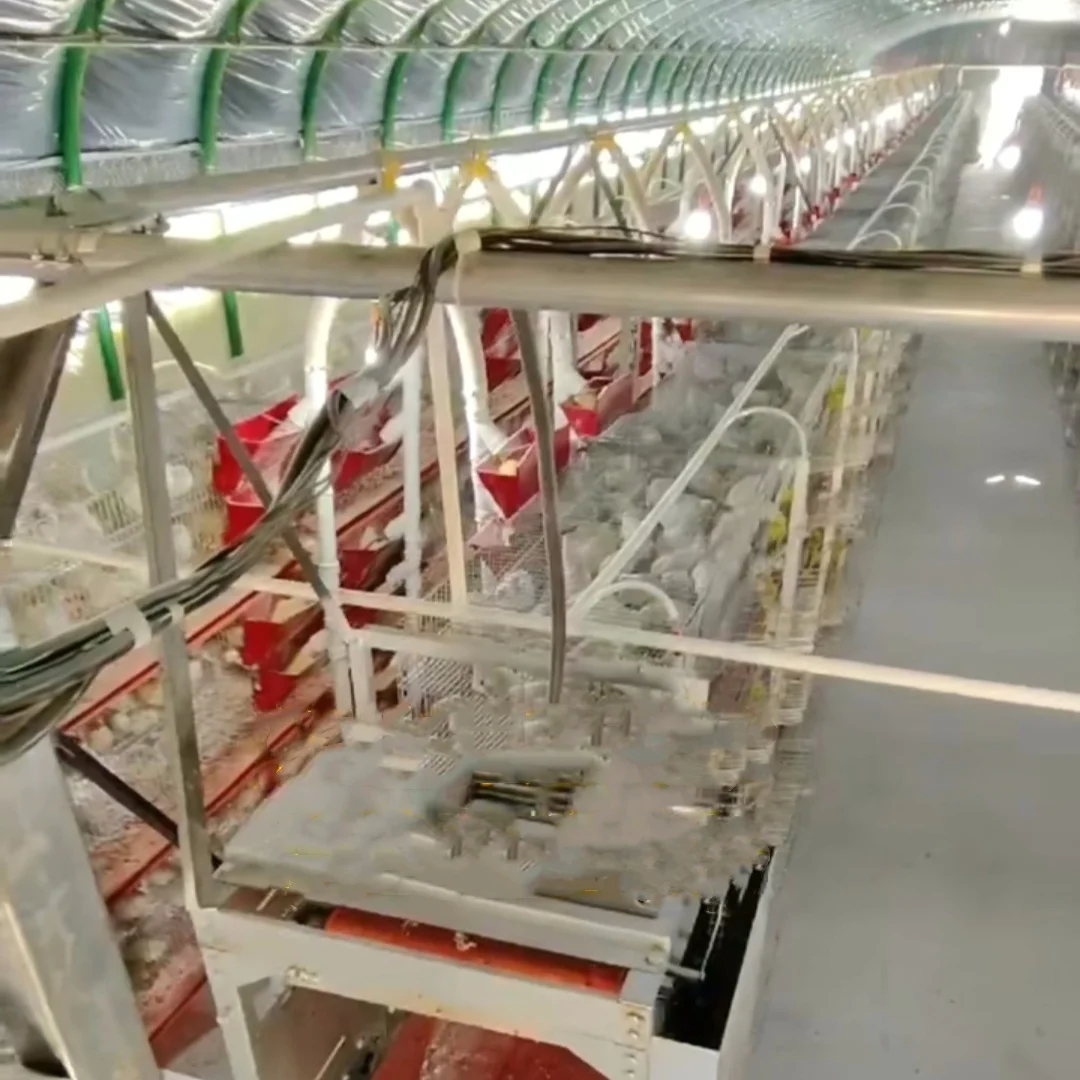 new design automatic feeding quail layer cage quail farm equipment for sale