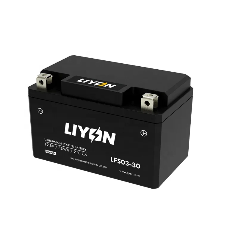 Electric Car Forklift Lithium Ion Battery Phosphate Battery Pack Electric Vehicle Battery