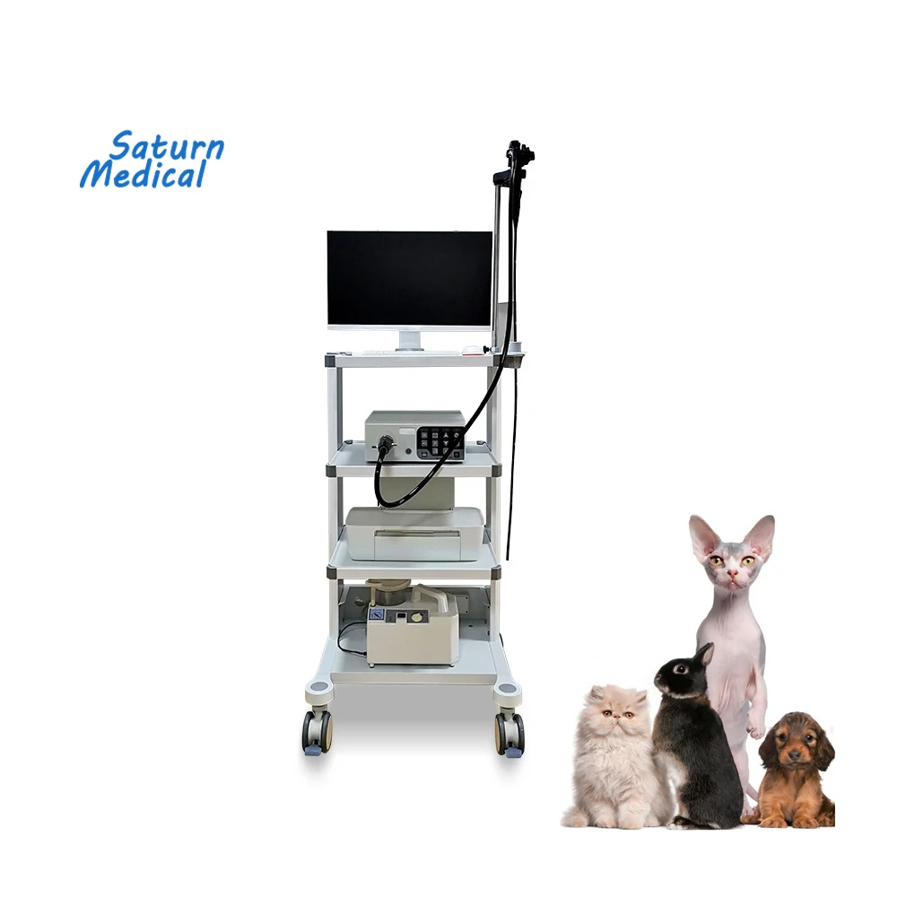 Самая дешевая цена от производителя высокое качество портативный гибкий для маленьких животных собак кошек ветеринарии ветеринарный гастроскоп