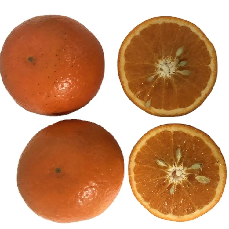 Chinese Cheap Fresh Sweet Wou Mandarin Wholesale Juicy Sugar Orange Wo Gan