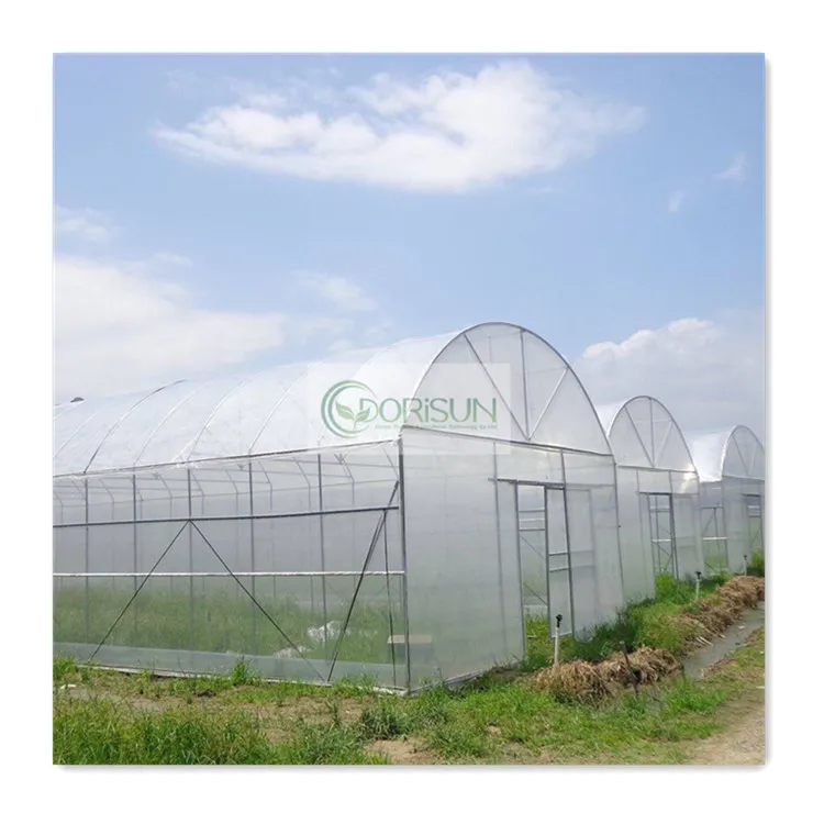 China complete hydrophonic modular garden greenhouse farming hydroponic tomato poly net passive greenhouse sale Pakistan